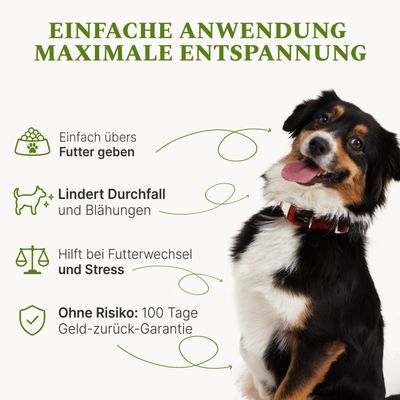 DOG1 Probiotisches Darmpulver für Hunde