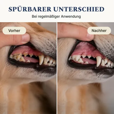 DOG1 Dental Pulver für Hunde DOG1 Dental Pulver für Hunde