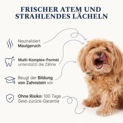 DOG1 Dental Pulver für Hunde