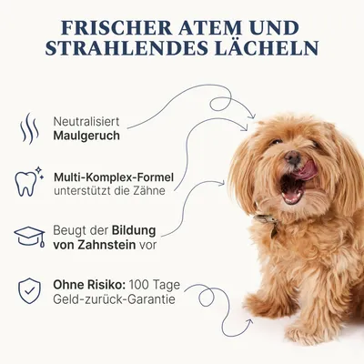 DOG1 Dental Pulver für Hunde DOG1 Dental Pulver für Hunde