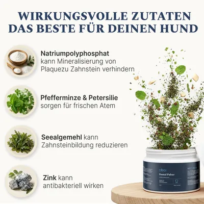 DOG1 Dental Pulver für Hunde DOG1 Dental Pulver für Hunde