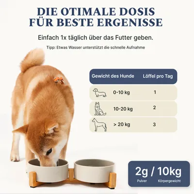 DOG1 Dental Pulver für Hunde DOG1 Dental Pulver für Hunde