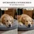 DOG1 Relax Snack für Hunde DOG1 Relax Snack für Hunde