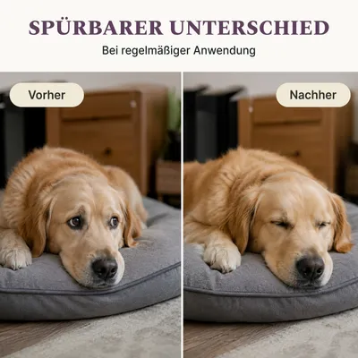 DOG1 Relax Snack für Hunde DOG1 Relax Snack für Hunde