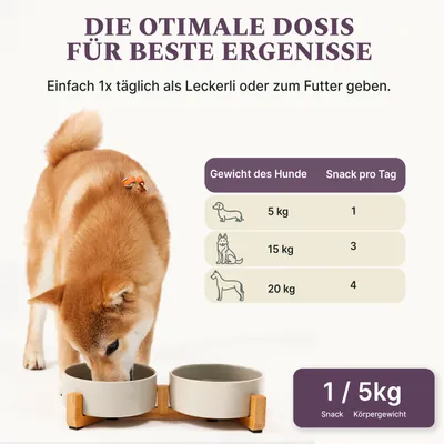 DOG1 Relax Snack für Hunde DOG1 Relax Snack für Hunde