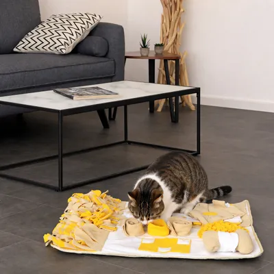 lionto tapis de fouille pour chat, anti-stress et stimulant mental