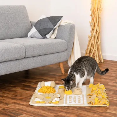 lionto tapis de fouille pour chat, anti-stress et stimulant mental