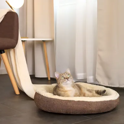 lionto panier rond pour chat en forme de donut, doux et lavable