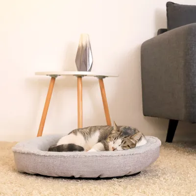 lionto panier rond pour chat en forme de donut, doux et lavable