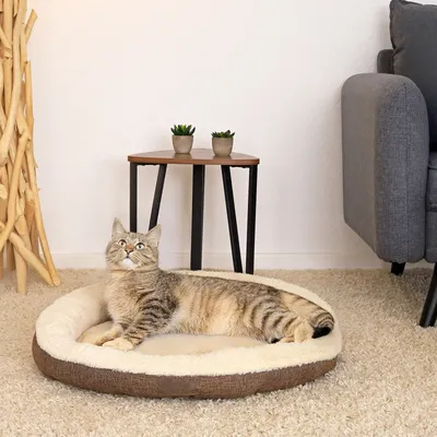 lionto panier rond pour chat en forme de donut, doux et lavable