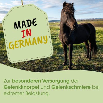 ArthroGreen Horse