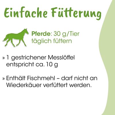 ArthroGreen Horse