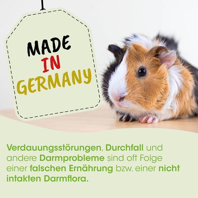 TinyHerbs DarmRein