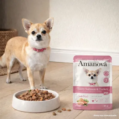 AMANOVA - Pâtée Chien Sans Céréales Amanova Saumon Dinde Adulte AMANOVA - Pâtée Chien Sans Céréales Amanova Saumon Dinde Adulte