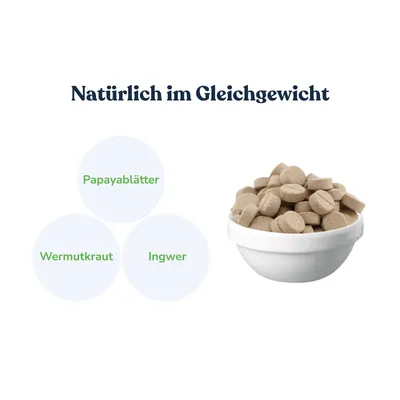 felmo KräuterVital für Hunde (120g)