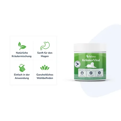 felmo KräuterVital für Hunde (120g)