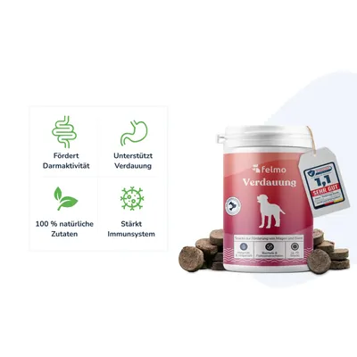felmo Verdauungs-Snacks für Hunde