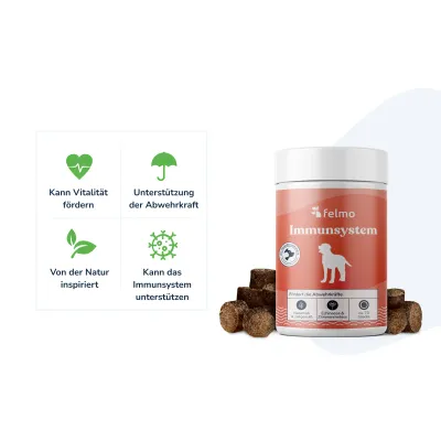felmo Immunitäts-Snacks für Hunde (180g)