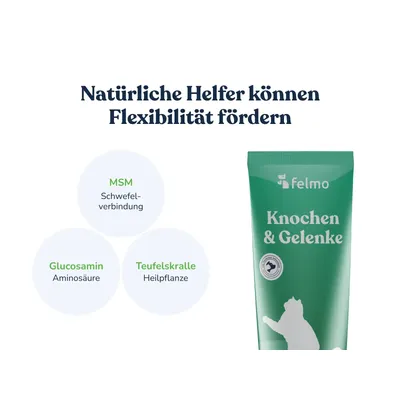 felmo Knochen- & Gelenk-Paste für Katzen (100g) felmo Knochen- & Gelenk-Paste für Katzen (100g)