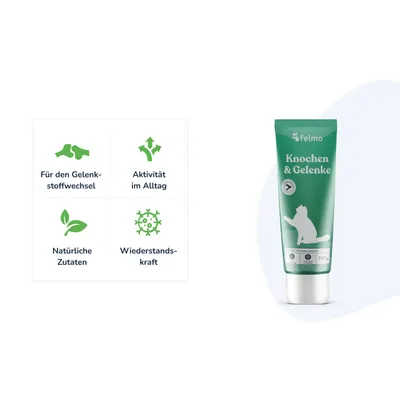 felmo Knochen- & Gelenk-Paste für Katzen (100g) felmo Knochen- & Gelenk-Paste für Katzen (100g)