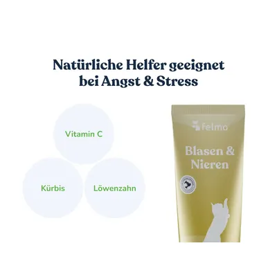 felmo Blasen- & Harnwege-Paste für Katzen (100g) felmo Blasen- & Harnwege-Paste für Katzen (100g)