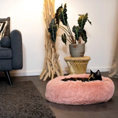 lionto panier rond pour chat en forme de donut, doux et antidérapant