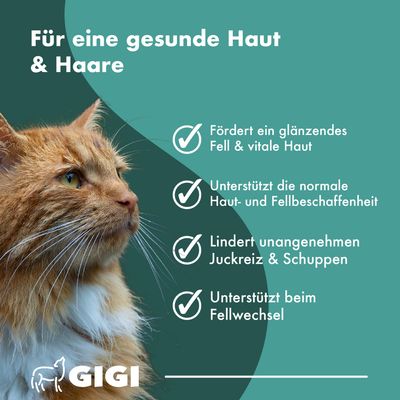 Haut & Fell PRO+ Für Hunde und Katzen Mit Biotin GIGI VET