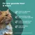 Haut & Fell PRO+ Für Hunde und Katzen Mit Biotin GIGI VET