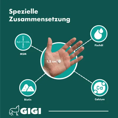 Haut & Fell PRO+ Für Hunde und Katzen Mit Biotin GIGI VET