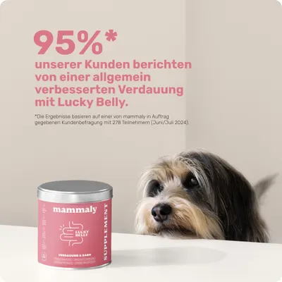 mammaly - Lucky Belly® - Darm-Snacks für Hunde mammaly - Lucky Belly® - Darm-Snacks für Hunde