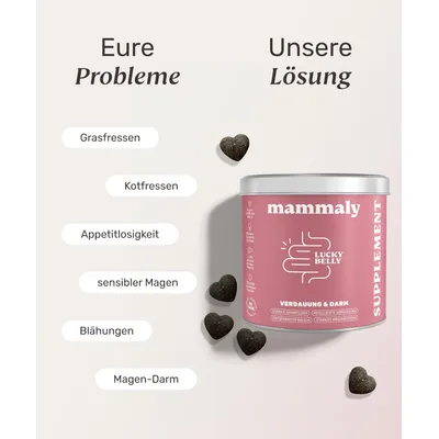 mammaly - Lucky Belly® - Darm-Snacks für Hunde mammaly - Lucky Belly® - Darm-Snacks für Hunde