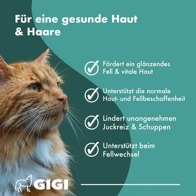 Haut & Fell PRO+ Für Hunde und Katzen Mit Biotin GIGI VET Haut & Fell PRO+ Für Hunde und Katzen Mit Biotin GIGI VET