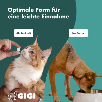 Haut & Fell PRO+ Für Hunde und Katzen Mit Biotin GIGI VET Haut & Fell PRO+ Für Hunde und Katzen Mit Biotin GIGI VET