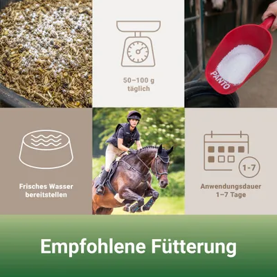 Panto EloLyt - Wasserlöslicher Ausgleich bei Elektrolytverlust 5kg Panto EloLyt - Wasserlöslicher Ausgleich bei Elektrolytverlust 5kg