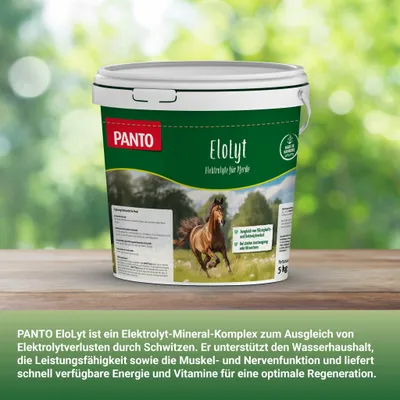 Panto EloLyt - Wasserlöslicher Ausgleich bei Elektrolytverlust 5kg Panto EloLyt - Wasserlöslicher Ausgleich bei Elektrolytverlust 5kg