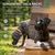 S Lang