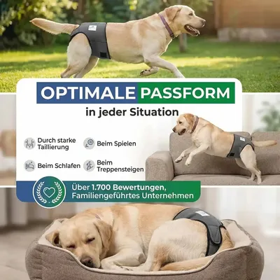 Nature Pet Läufigkeits- & Inkontinenzhose für Hunde Nature Pet Läufigkeits- & Inkontinenzhose für Hunde