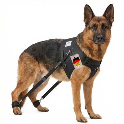 Hundeexpander Rehageschirr für Probleme an den Hinterläufen