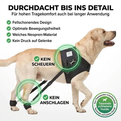 Hundeexpander Rehageschirr für Probleme an den Hinterläufen Hundeexpander Rehageschirr für Probleme an den Hinterläufen