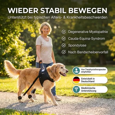 Hundeexpander Rehageschirr für Probleme an den Hinterläufen Hundeexpander Rehageschirr für Probleme an den Hinterläufen