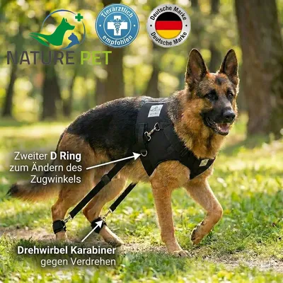Hundeexpander Rehageschirr für Probleme an den Hinterläufen
