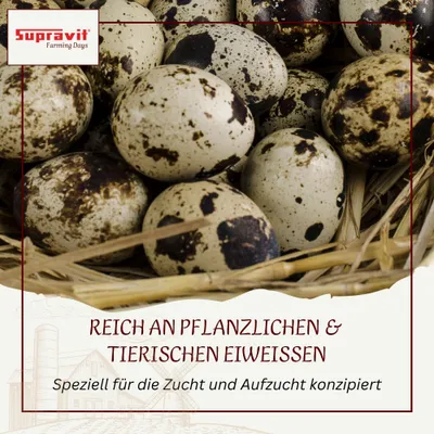 Supravit Aufzucht- & Eifutter für Geflügel Supravit Aufzucht- & Eifutter für Geflügel