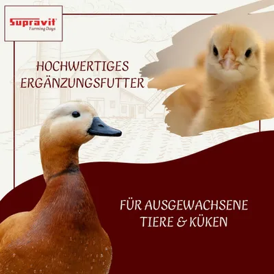 Supravit Aufzucht- & Eifutter für Geflügel Supravit Aufzucht- & Eifutter für Geflügel