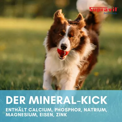 Supravit Mineralfutter für Hunde Ergänzungsfutter Supravit Mineralfutter für Hunde Ergänzungsfutter