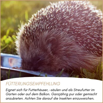 Supravit Insektenmix Vogelfutter