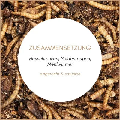 Supravit Insektenmix Vogelfutter