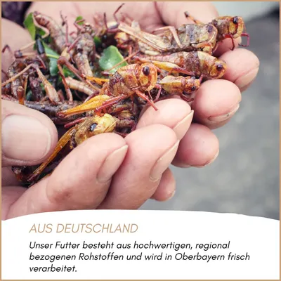 Supravit Insektenmix Vogelfutter