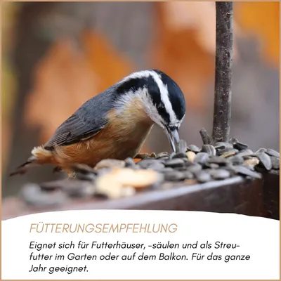 Supravit Sonnenblumenkerne gestreift für Vögel Supravit Sonnenblumenkerne gestreift für Vögel