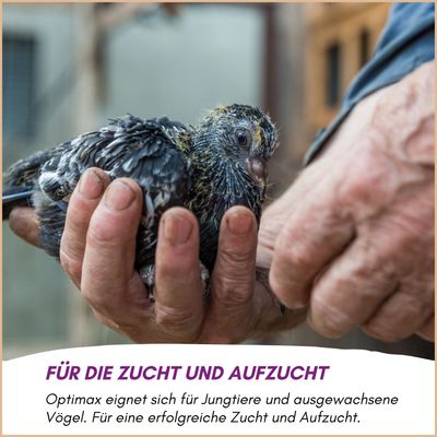 Optimax Konditions- und Aufzuchtfutter für Vögel