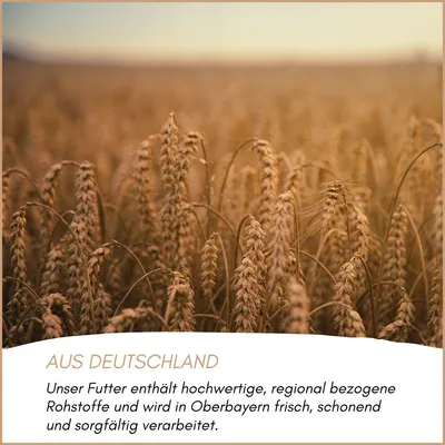 Supravit Waldvogelfutter mit Sonnenblumenkerne